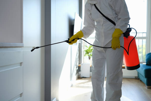 Best Emergency Mold Removal  in Larchmont, NY